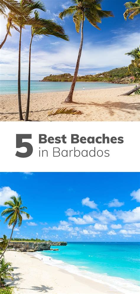 5 Best Beaches In Barbados Island Vacation Barbados Travel Barbados