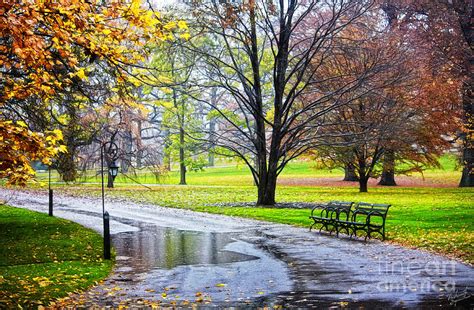 Empty Walkway On A Beautiful Rainy Autumn Day Photograph By Nishanth