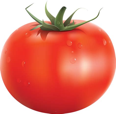 Tomato Clipart No Backround 20 Free Cliparts Download Images On