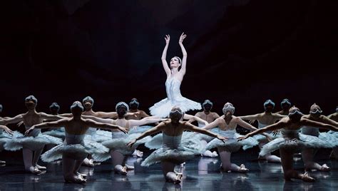 Swan Lake The Story The Australian Ballet