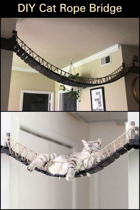 Crafting A Cat Rope Bridge 10 Creative Designs To Inspire Cat House