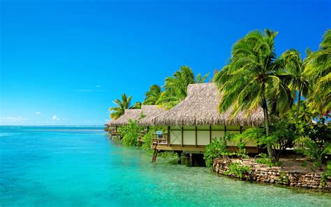 Maldivas Resort Palmeras Travel 4k Ultra Hd Avance