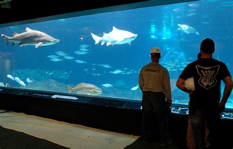 Adventure Aquarium Is Reopening And Heres What You Need To Know
