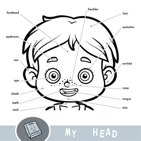 visual dictionary  children   human body  body parts