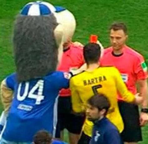 May 31, 2021 · nur maskottchen jünter ist zur stelle: „Erwin": Hier zeigt Schalkes Maskottchen dem ...