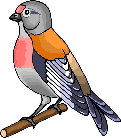 Birds Cartoon Images Free Download Clip Art Free Clip Art On