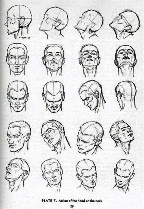 How to draw a face step by step? 10 Tips: How To Draw A Face For Beginners - Free Jupiter