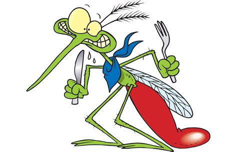 Mosquito Clipart Angry Picture 1680432 Mosquito Clipart Angry