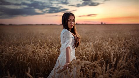 Brunette Model Woman White Dress Depth Of Field Girl Wheat Long Hair Summer Field