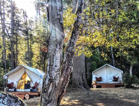 Maybe you would like to learn more about one of these? Camping at Mendocino Grove