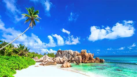Seychelles Backiee