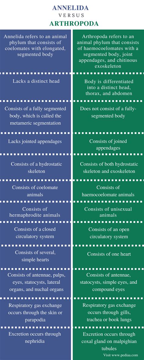 Difference Between Annelida And Arthropoda Pediaacom