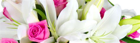 Maybe you would like to learn more about one of these? I'm Sorry Flowers | Send Apology Flowers Delivered by ...