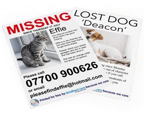 Free Missing Pet Posters Doxdirect Lost Cat Template Flyer Dremelmicro