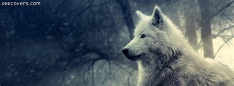 White Wolf Fb Cover Photo Xee Fb Covers