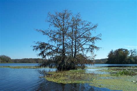 Lake Talquin