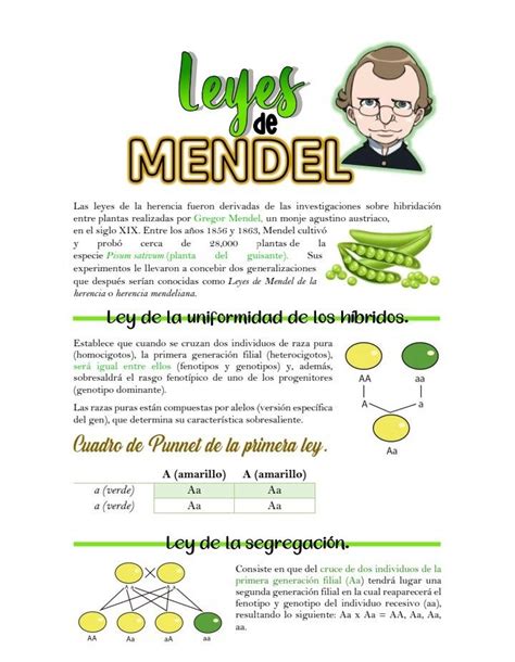 Leyes De Mendel Apuntes De Clase Enseñanza De Química Notas De Biología