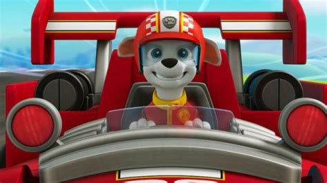 Paw Patrol Ready Race Rescue Movie Review Common Sense Media