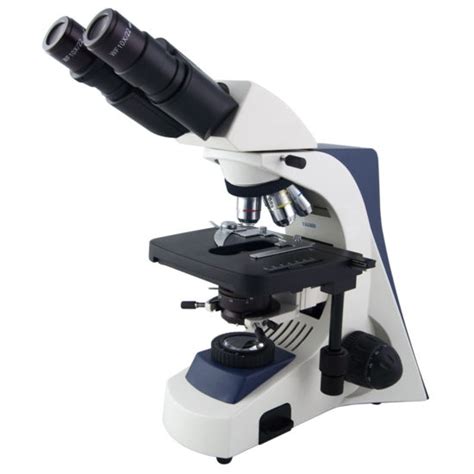 Optical Microscope C Bino Breukhoven Laboratory Inverted Binocular