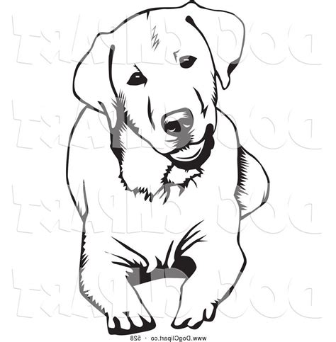 Drawing Of A Dog Laying Down