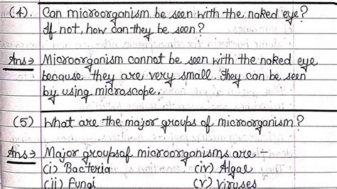 NCERT Class Science Chapter Microorganisms Friend Foe Question Answer By All In One