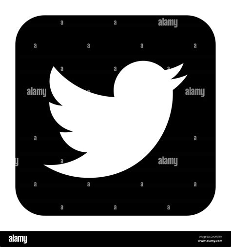 Twitter Social Media App Icon Square With Rounded Corners Vector