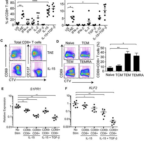 Cd69 Is Expressed On Cd8 T Cells In The Absence Of Recent T Cell