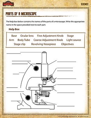 Each microscope layout (both blank and the version with answers) are available as pdf downloads. Microscope Drawing Worksheet at GetDrawings | Free download