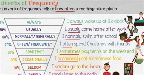 The position of the adverb in a sentence. Adverbs of Frequency: Definition, Rules and Helpful ...