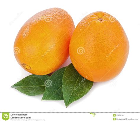 Orange Fruits With Green Leaves Isolated On White Background Stock