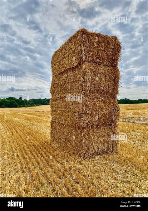 Stack Of Baled Hay Stock Photo Alamy