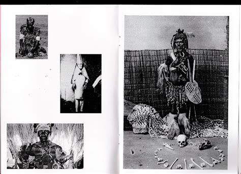 Witch Doctors — Catalogue Library