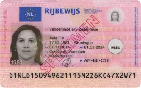 Translation Of Data Fields On Generic Drivers License Of The