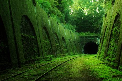 Wallpaper Sunlight Forest Nature Abandoned Railway Green Jungle