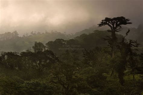 Cloud Forest Sunset Costa Rica Matt Tilghman Photography