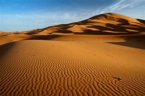 Traveler Guide Sahara Is The Largest Desert In The World