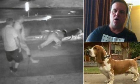 Man Threw Himself Over His Own Dog Protecting Pet From Being Mauled By