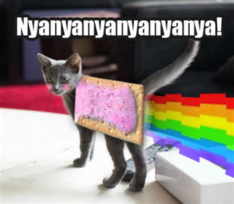 Pop Cat Meme Popcat Image 243865 Nyan Cat Pop Tart Cat Know Your Meme