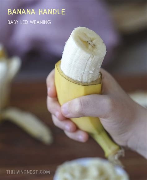 Banana For Babies Baby Led Weaning Method Thrivingnest