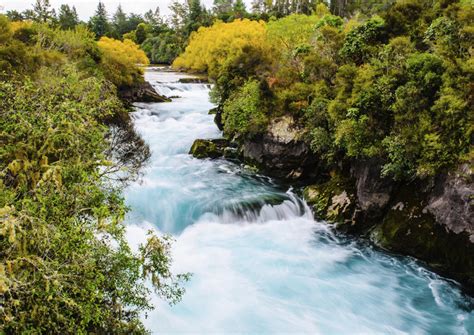 The Best Waikato River Tours And Tickets 2020 Taupo Viator