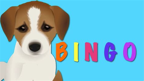 Find the perfect animated dog stock photos and editorial news pictures from getty images. BINGO - Dog Song Nursery Rhyme | Kids Animation Rhymes For ...