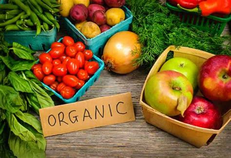 Entenda Quais São As Vantagens E Benefícios Dos Alimentos Orgânicos