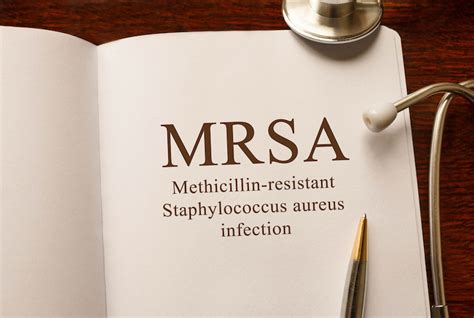 Mrsa Bacteria And The Danger It Can Have In Your Environment