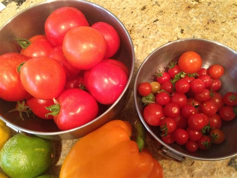 Fresh Tomato Salsa Recipe Debbie Stevenson