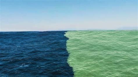 Two Oceans That Dont Mix