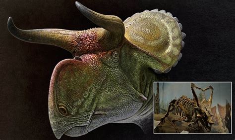 Triceratops Used Its Terrifying Horns To Attract Sexual Partners Daily Mail Online