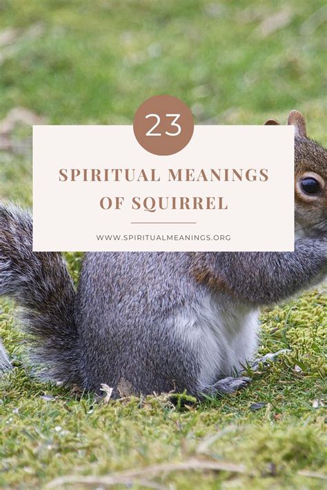 23 Spiritual Meanings Of Squirrel Symbolism