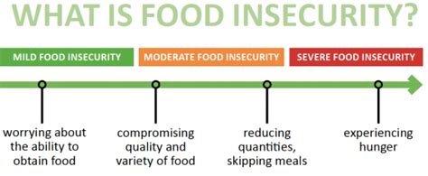 Insecurity on the terms of trade of nations hunger in the 1990s states: FOOD INSECURITY - The Center | Affirm | Build | Connect