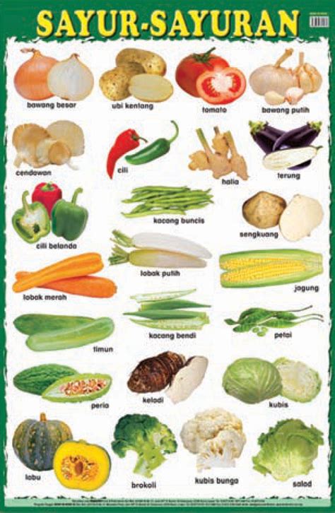 Poster Pendidikan Sayur Sayuran Lazada