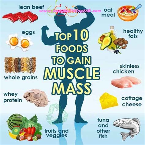 Top 10 Foods To Gain Muscle Mass Weight Gain Meals Healthy Weight